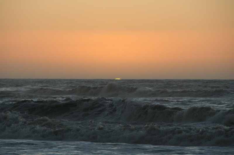 Nieuw-Zeeland 2011 - 1387